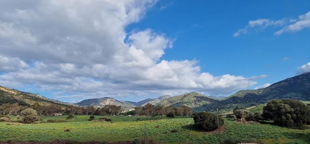 Les Collines De Lava Appartement Appietto Buitenkant foto